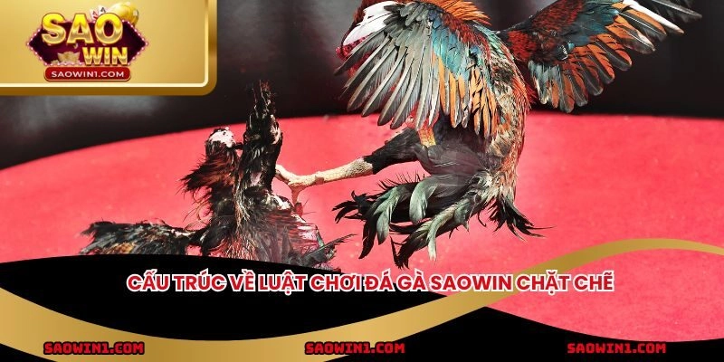 Cấu trúc về luật chơi đá gà Saowin chặt chẽ