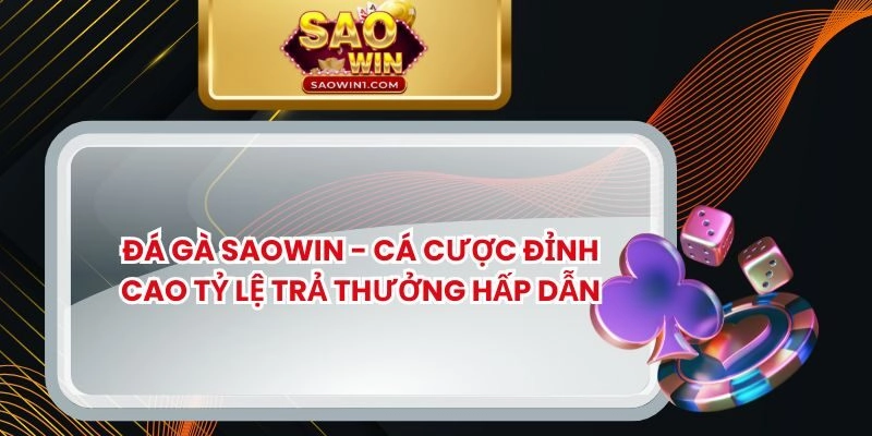 Đá Gà Saowin – Cá Cược Đỉnh Cao Tỷ Lệ Trả Thưởng Hấp Dẫn