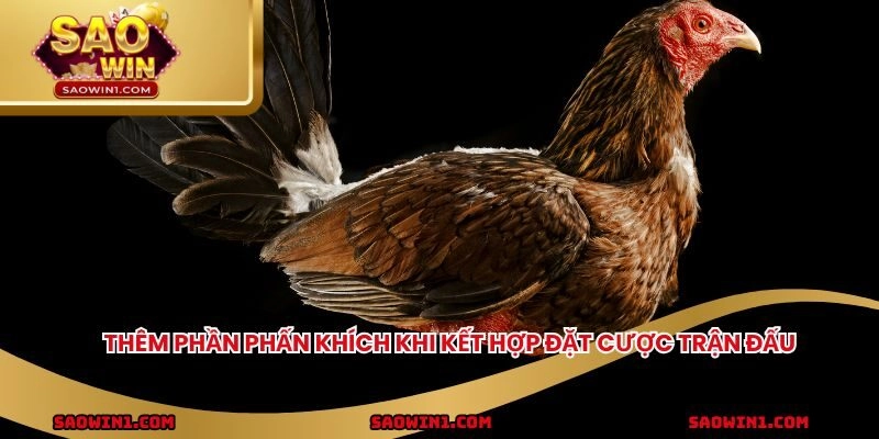 Thêm phần phấn khích khi kết hợp đặt cược trận đấu